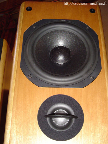 JMR Twin Signature
