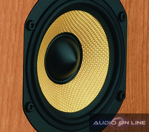 Audio On Line - woofer DS8S B&W