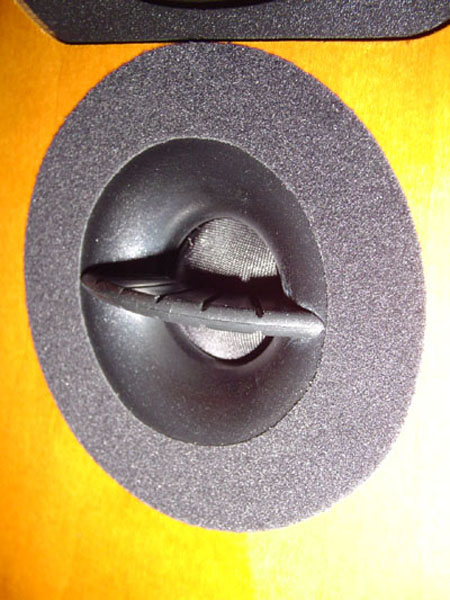 JMR Iris